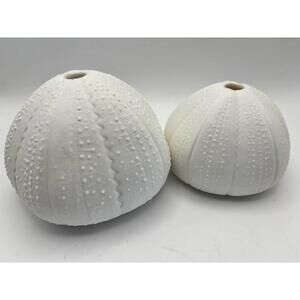 TWO Luna Porcelain Sea Urchin Tea Light Candle Holders NEW in Box